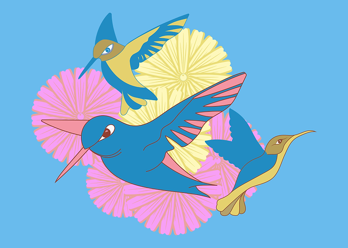 Flying Hummingbirds