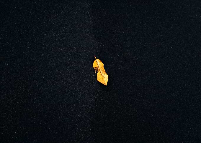 Lonely