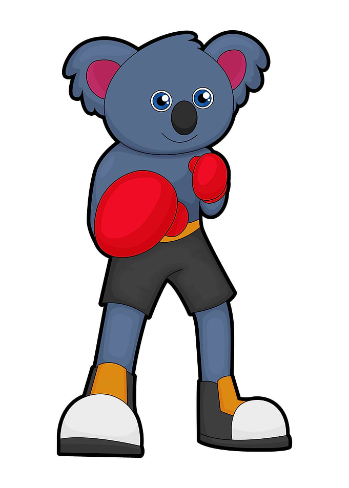 Koala Boxing Boxing gloves
