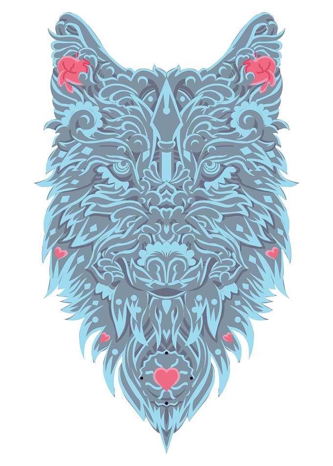Wolf Animal Wild