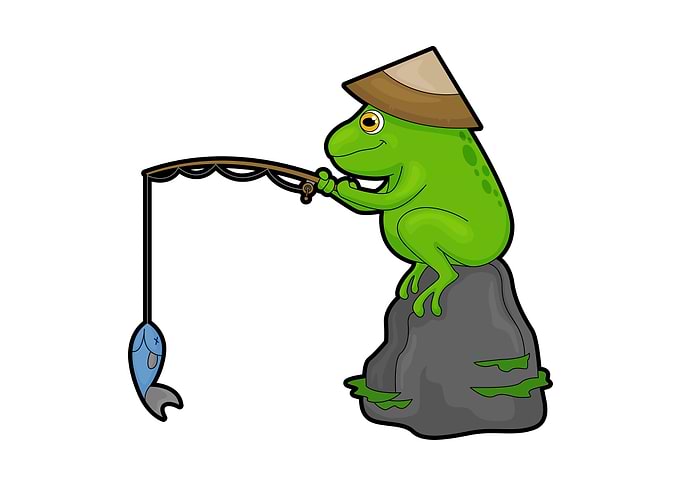Frog Stone Fishing