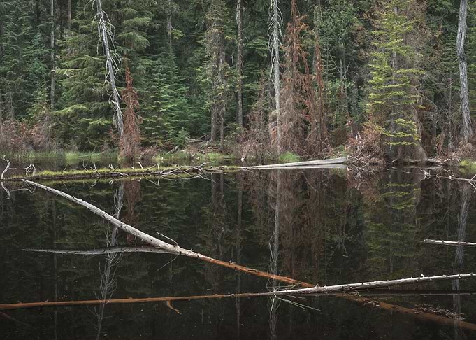 Interwoven nature
