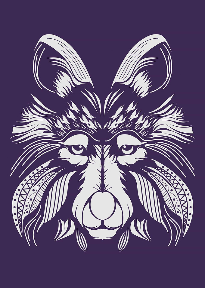Wolf Animal Wild