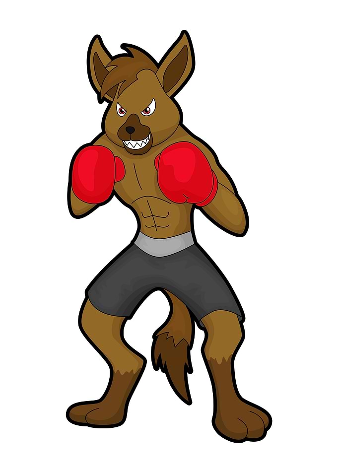 Hyena Boxing Boxing gloves