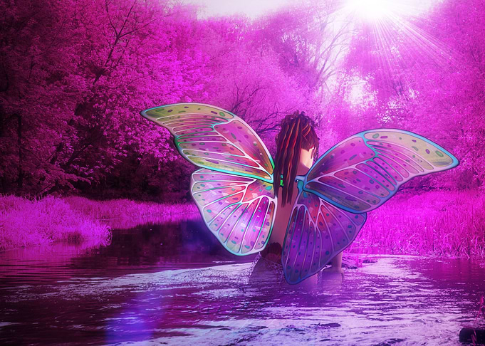 Pink forest and fairy