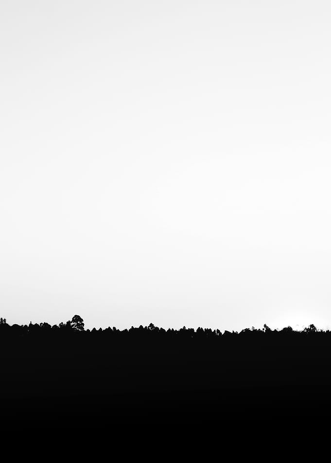 Horizon