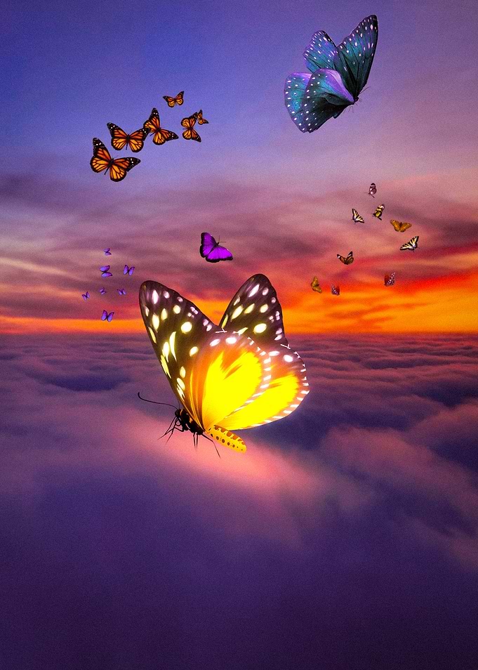 Glowing Butterflies