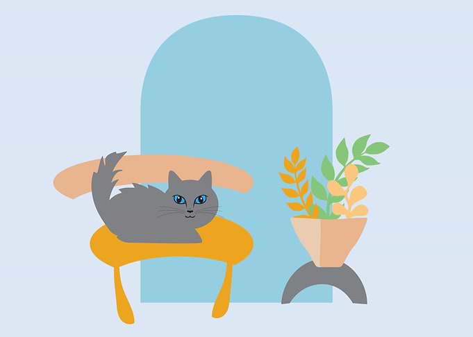 Cat Chair Room 4
