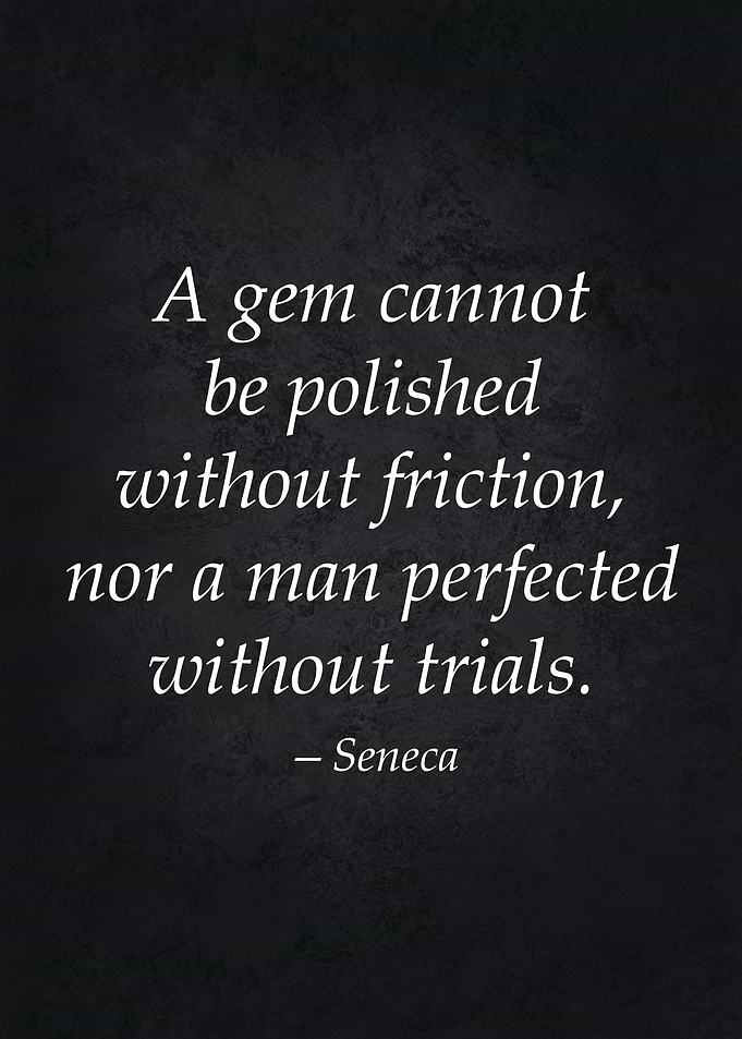 Perfection Stoic Quote