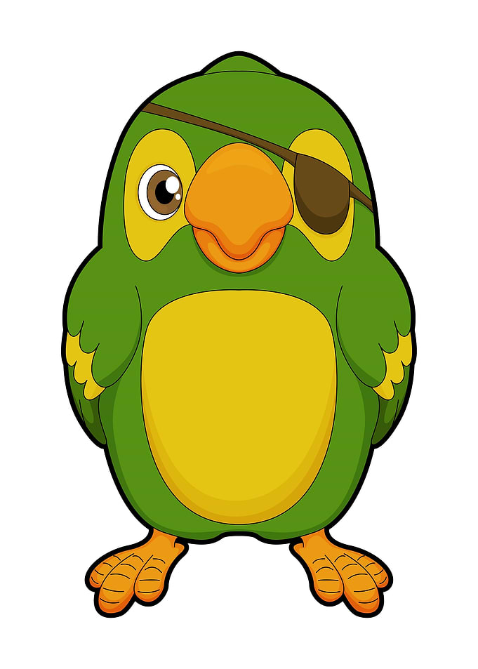 Parrot Pirate Eye patch