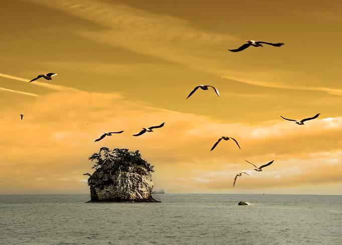 Matsushima Sunset