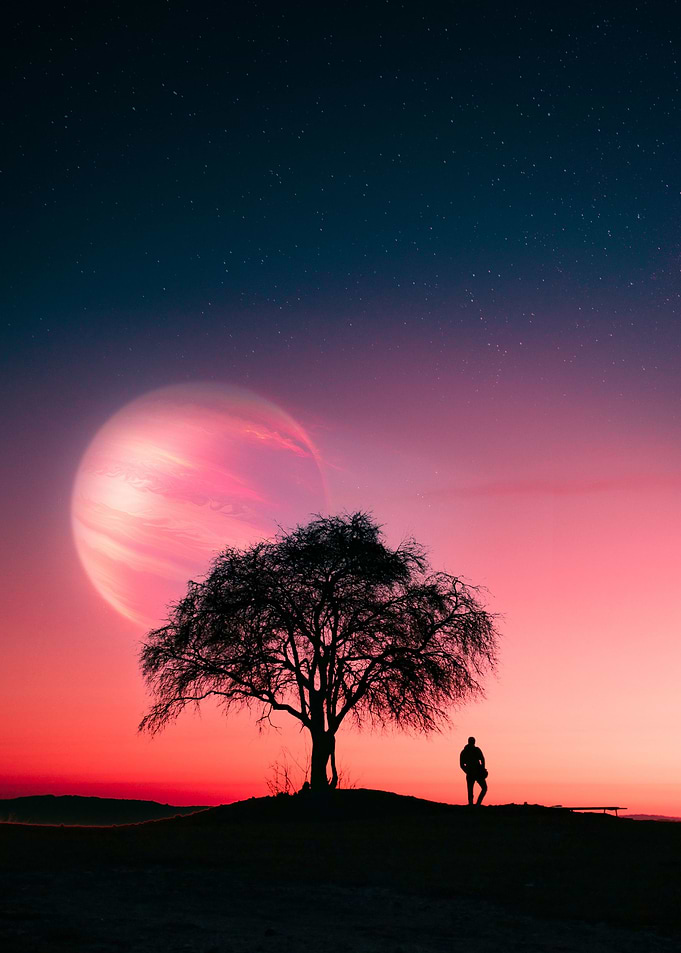 Space Tree
