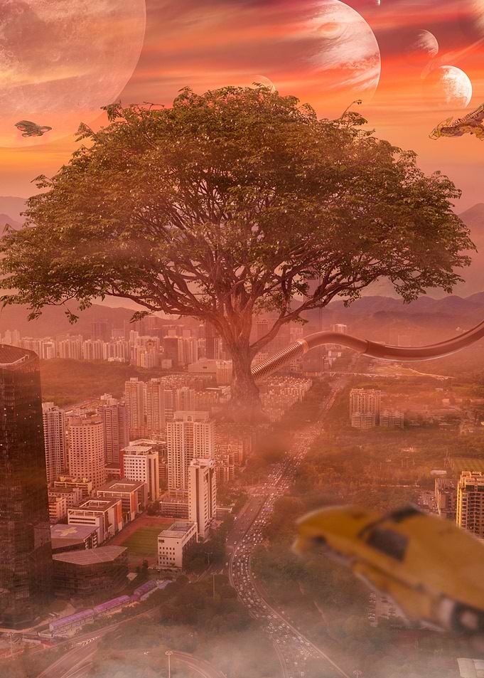 TREE OF LIFE