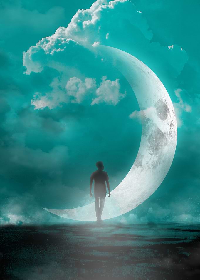 Silhouette in the Moonligh