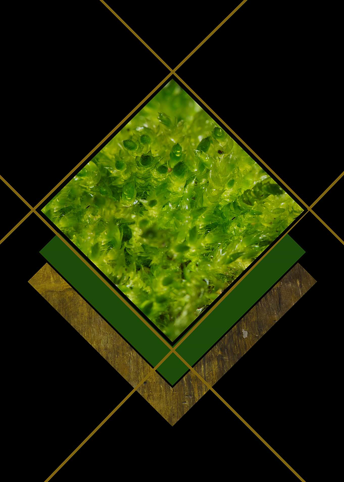 green and black