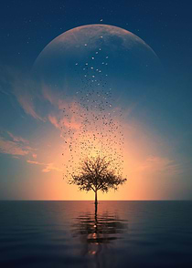 Silhouette Tree and Moon