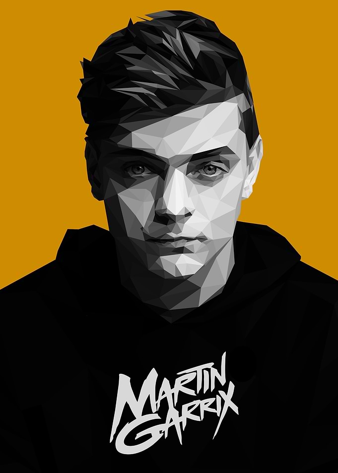 martin garrix