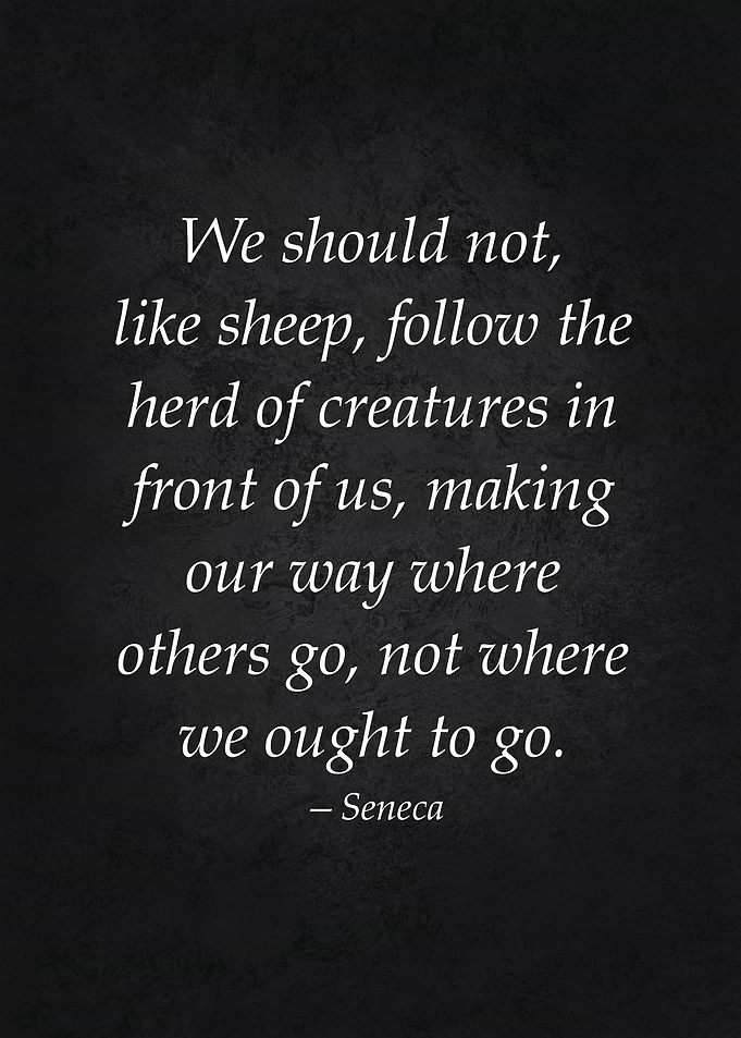 Following The Herd Stoic