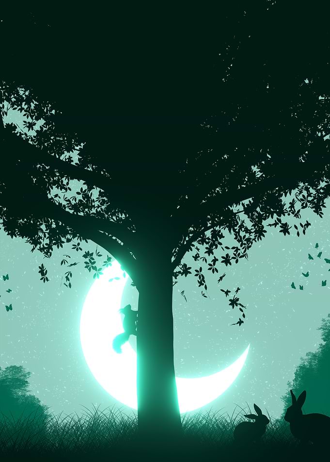 Night in the forest