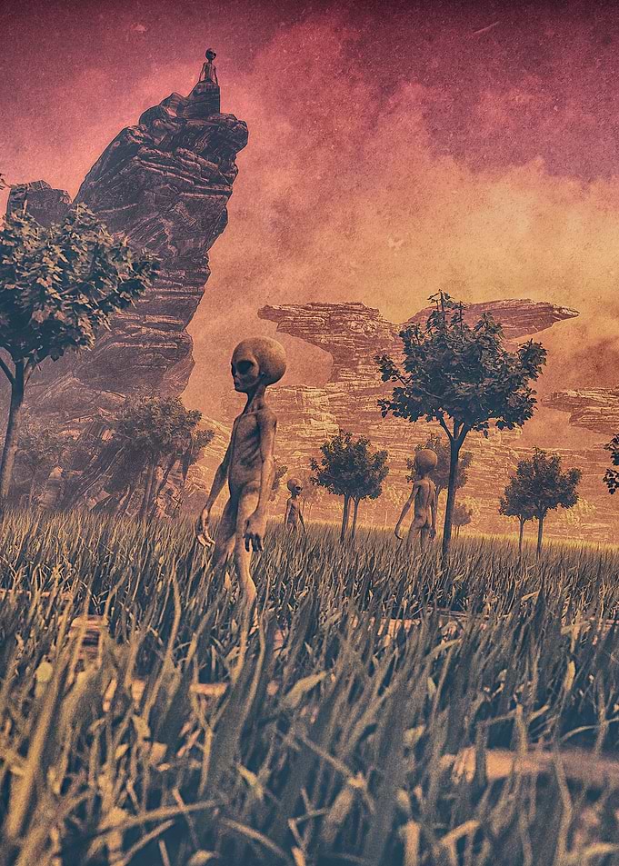 HARVEST TIMES