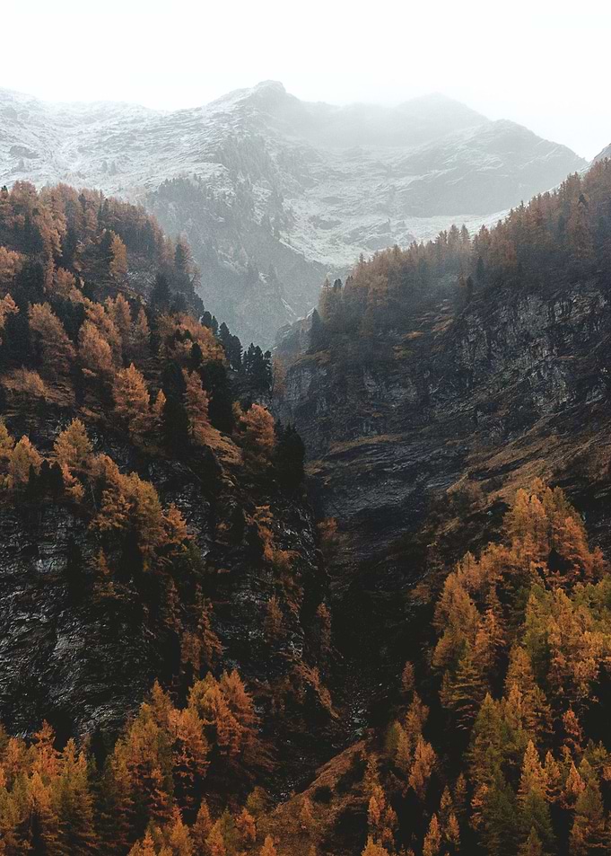 Rein in Taufers