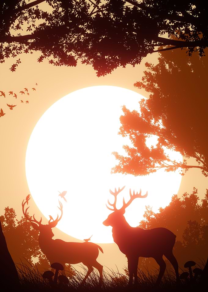 Oh Deer