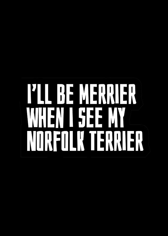 Norfolk Terrier