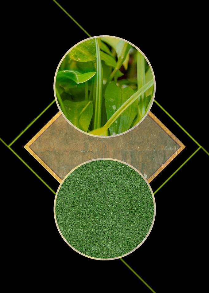 Circle and green