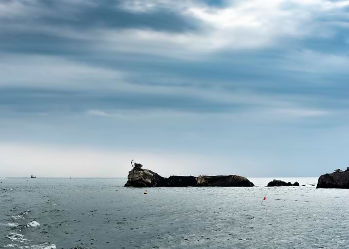 island like caterpillar