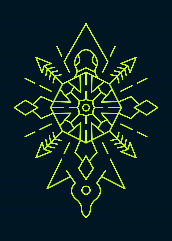 Turtle Symmetry Ornament