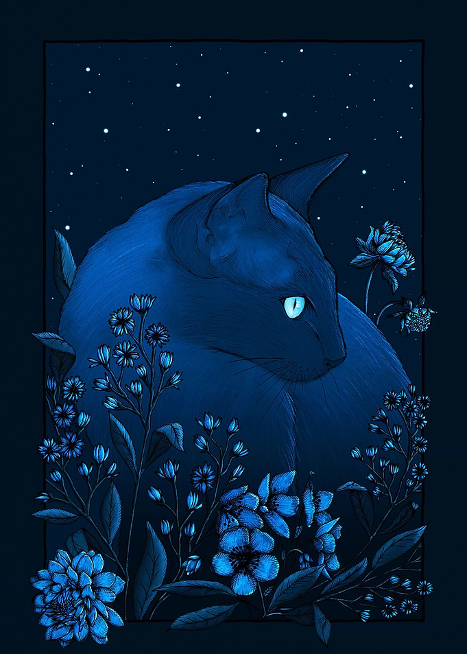 Starlight Cat