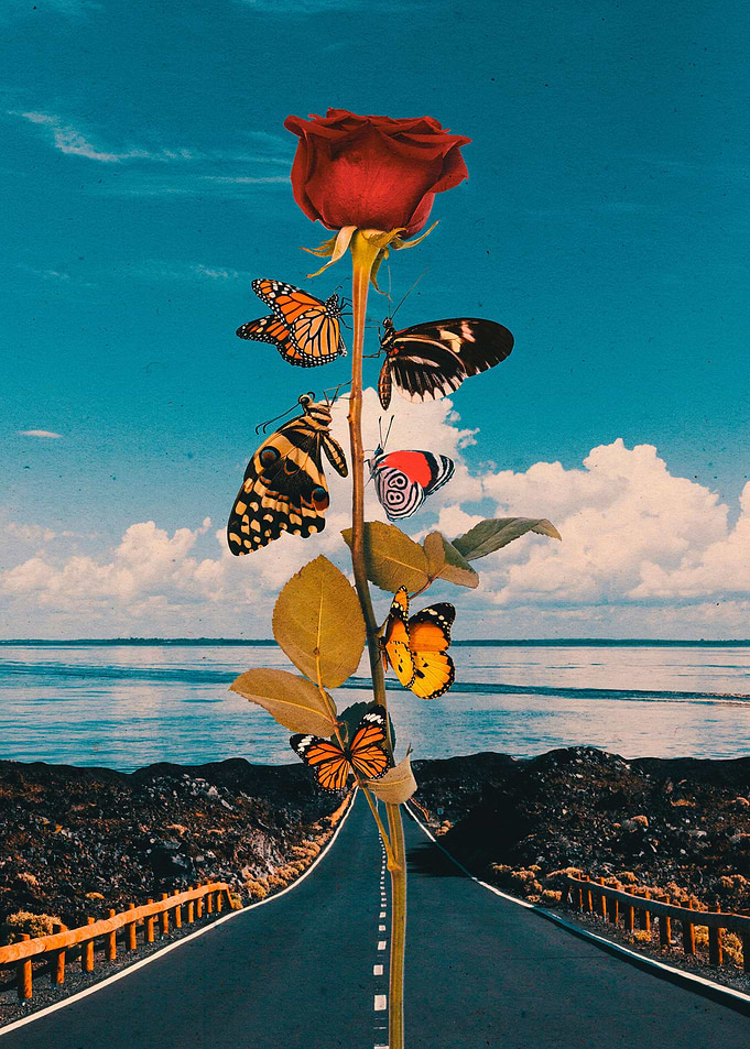Rose Dali