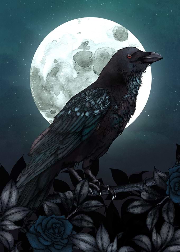 Raven and Full Moon