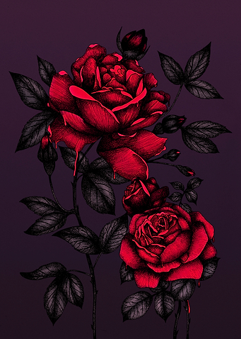 Bleeding Roses