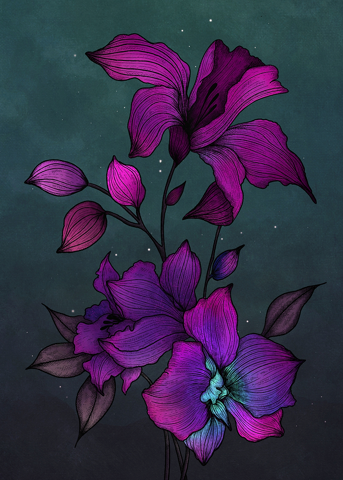 Purple Orchids