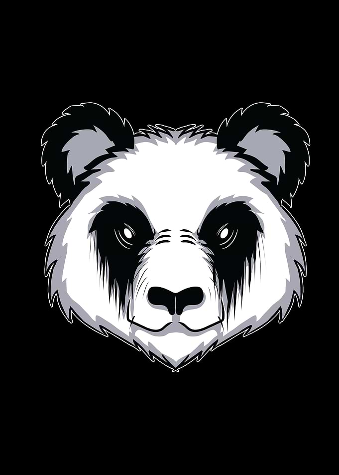 Gothic Panda Comic Graphic
