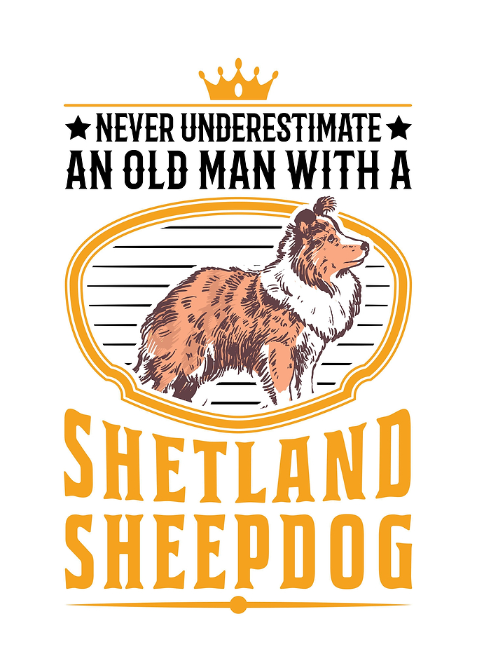 Sheltie Old Man Shetland