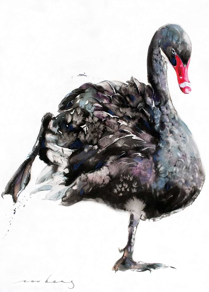 Swan Ballet