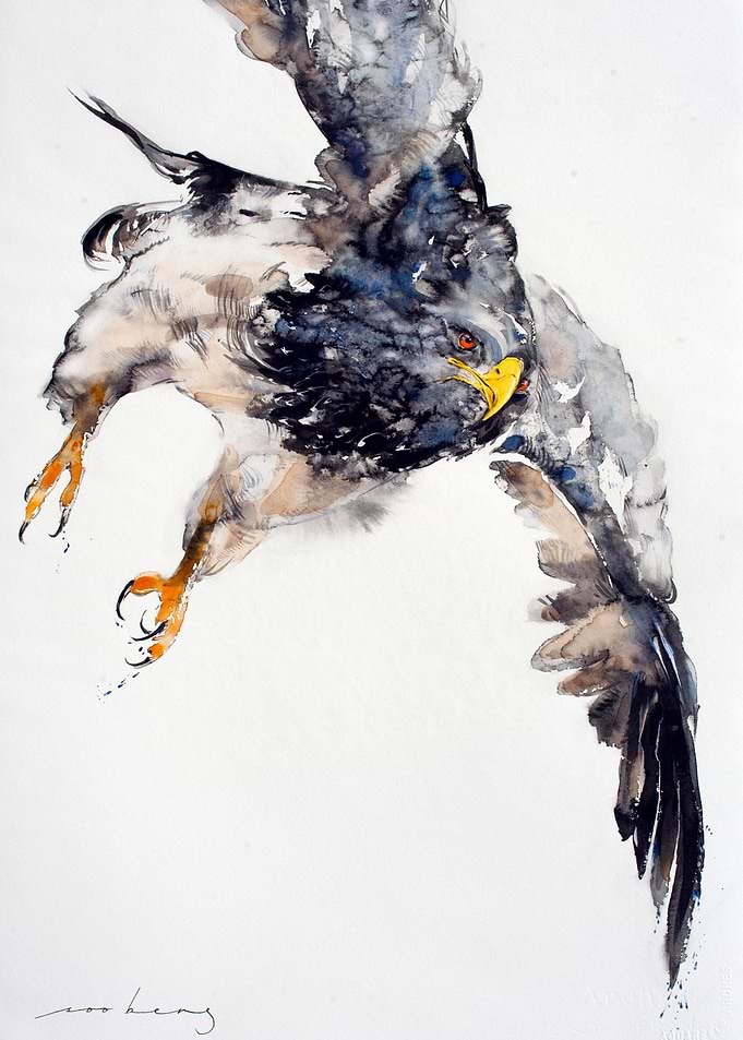 Soaring Above