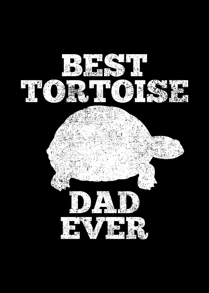 Tortoise Dad Father