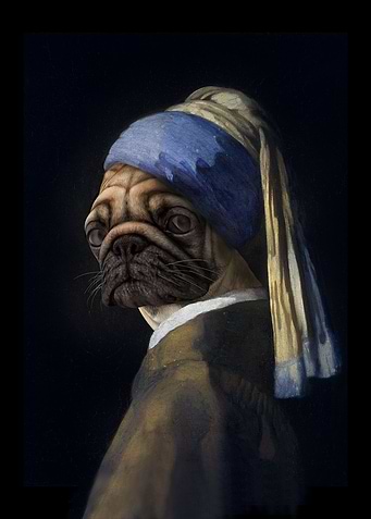 Latest drop