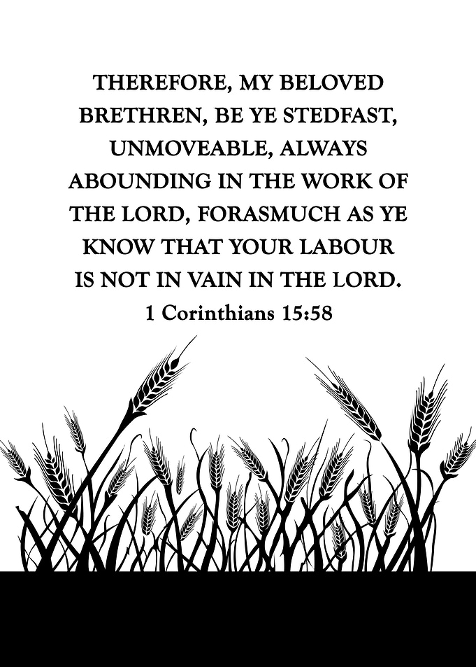 1 Corinthians 15 58