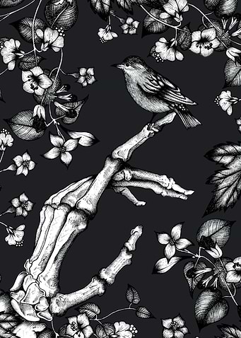 Skeleton and Sparrow