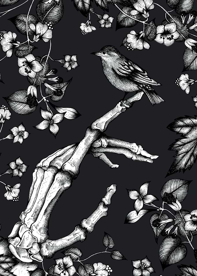 Skeleton and Sparrow