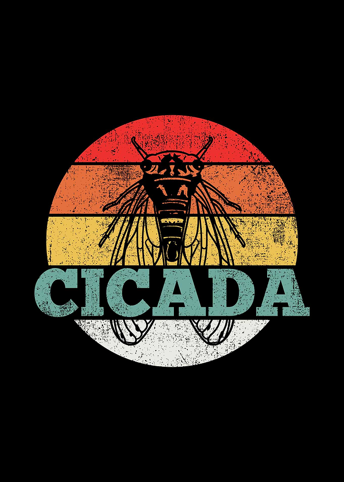 Cicada Vintage