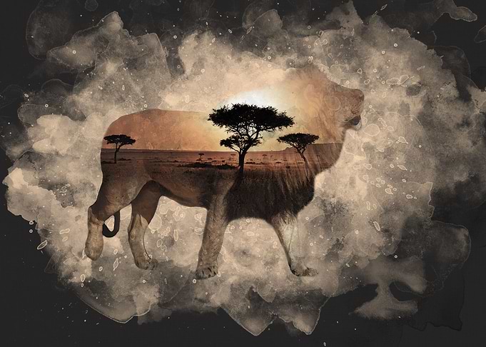 The King of Africa