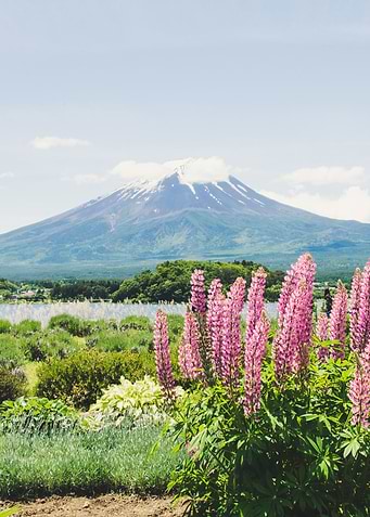 Mount Fuji