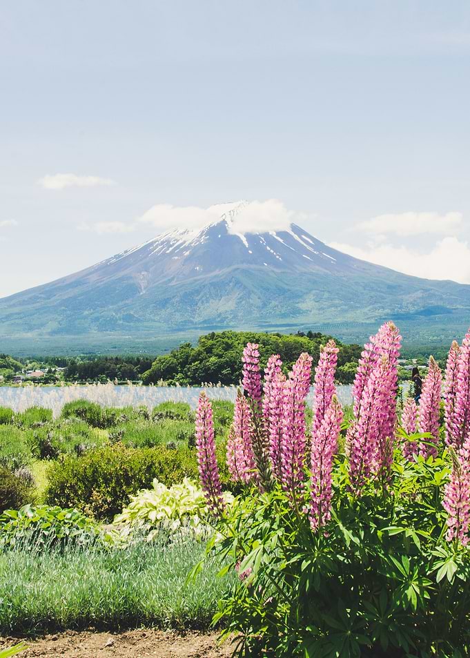 Mount Fuji