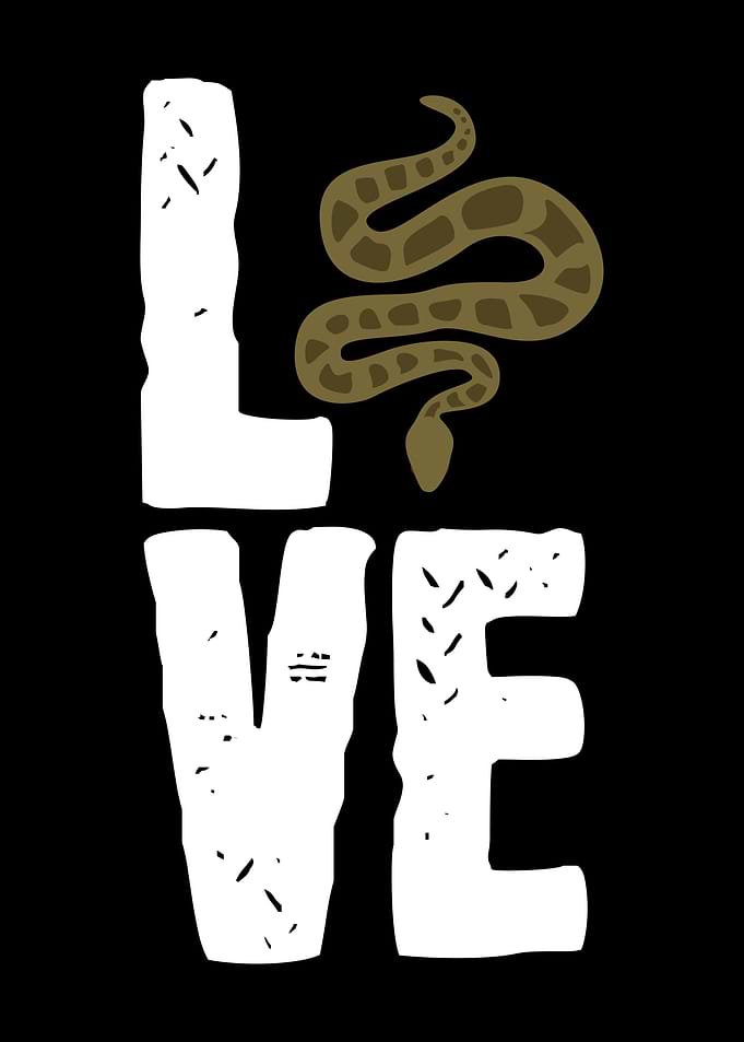 Boa Constrictor Love Snake