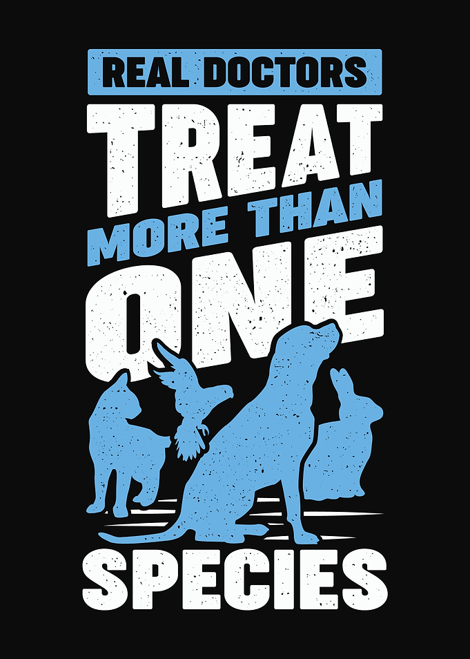 Vet Veterinarian Design